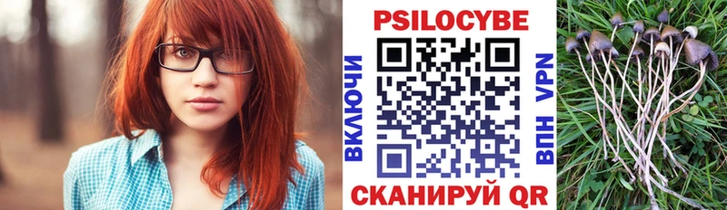 Псилоцибиновые грибы мухоморы  Киреевск 